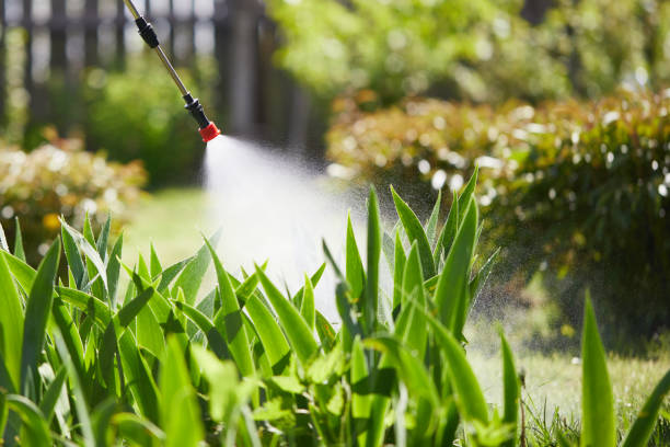 24/7 Emergency Mosquito Control experts in North Rock Springs, WY