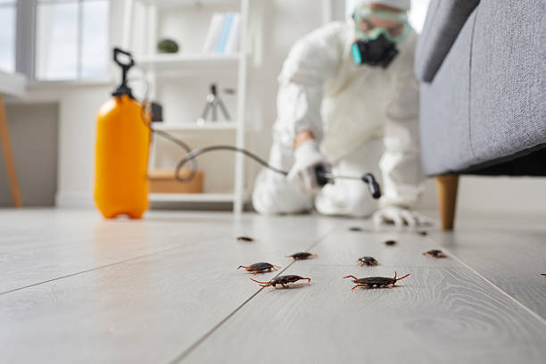Trusted Rodent Control service in North Rock Springs, WY - Nex Pest Control