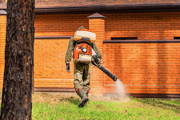 Trusted Cockroach Control service in North Rock Springs, WY - Nex Pest Control